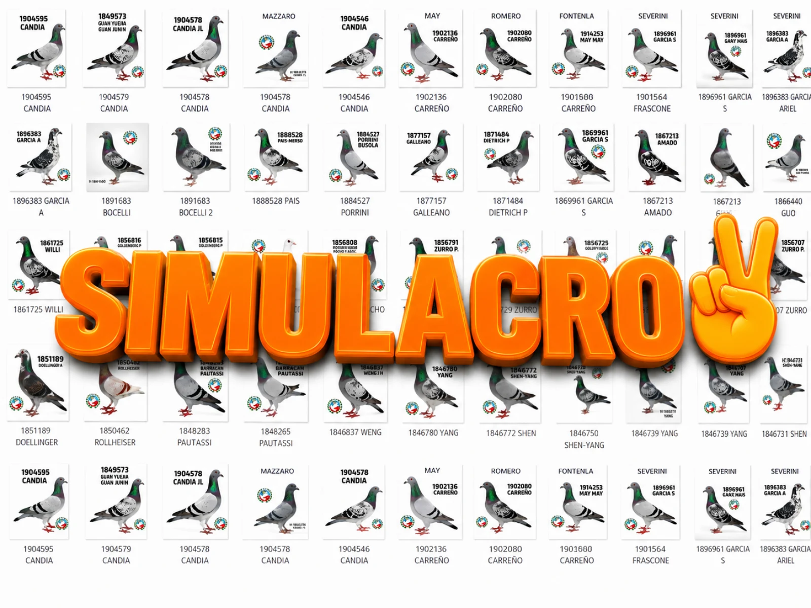 SIMULACRO 2