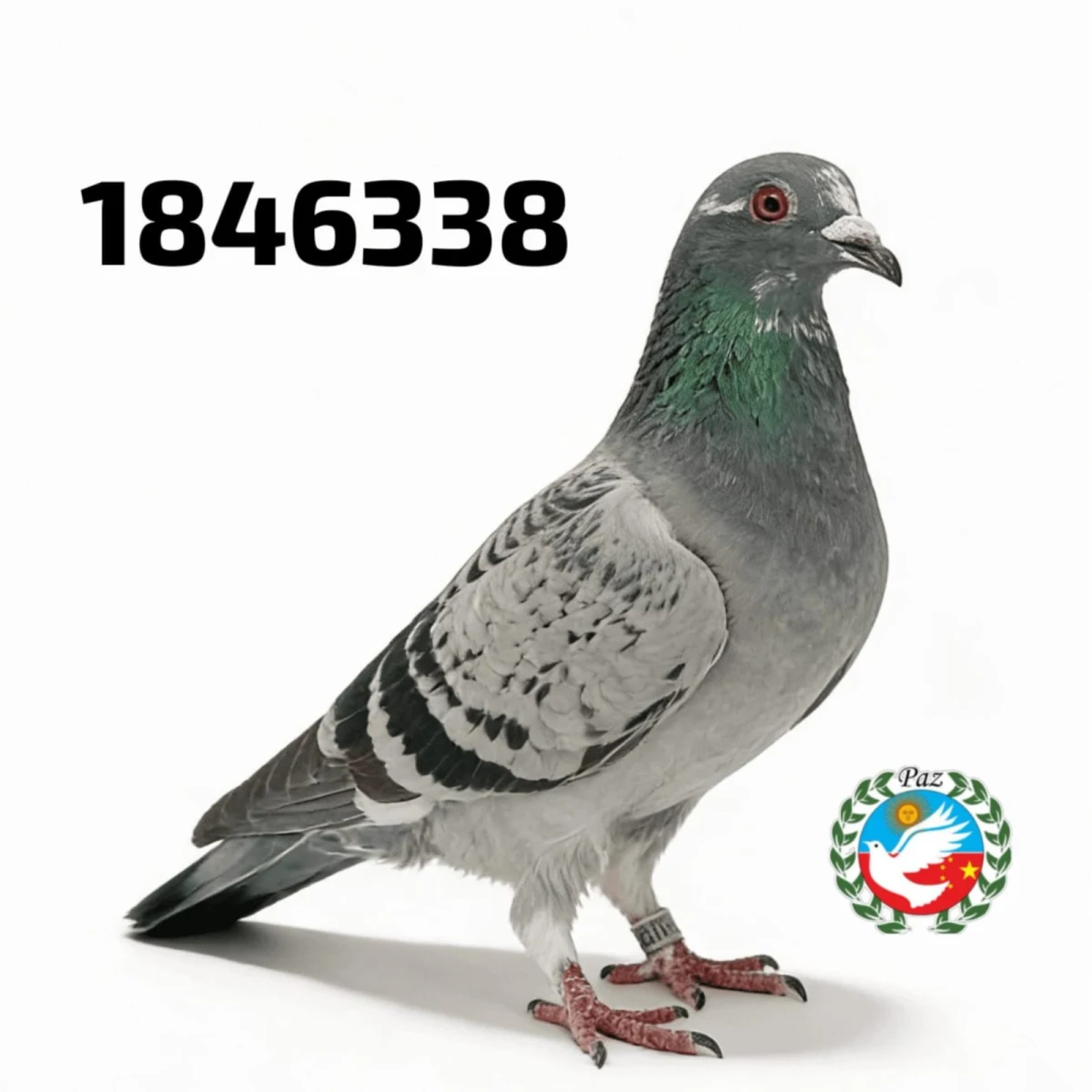 1846338-25 FCA