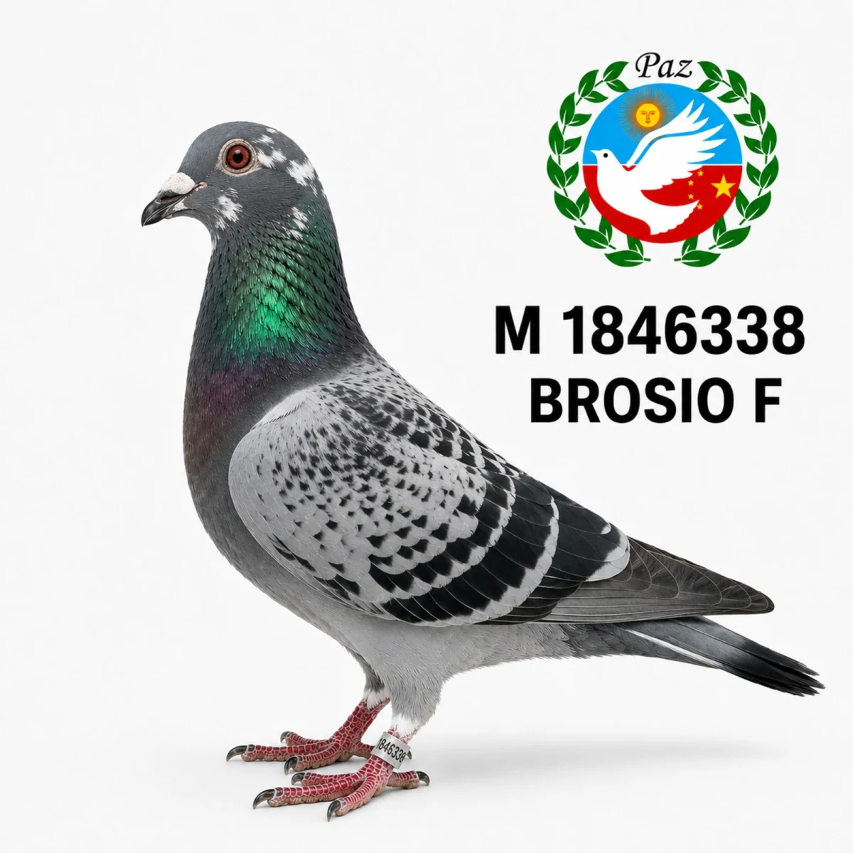1846338-25 FCA
