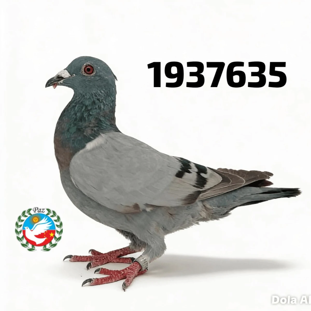 1937635-25 FCA