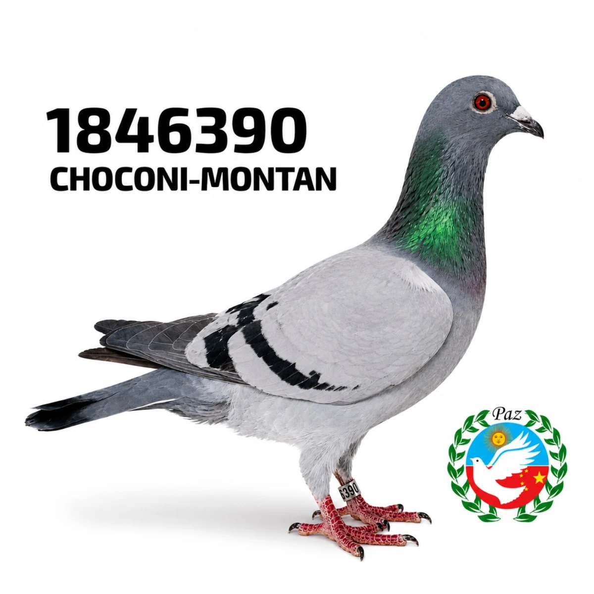1846390-25 FCA