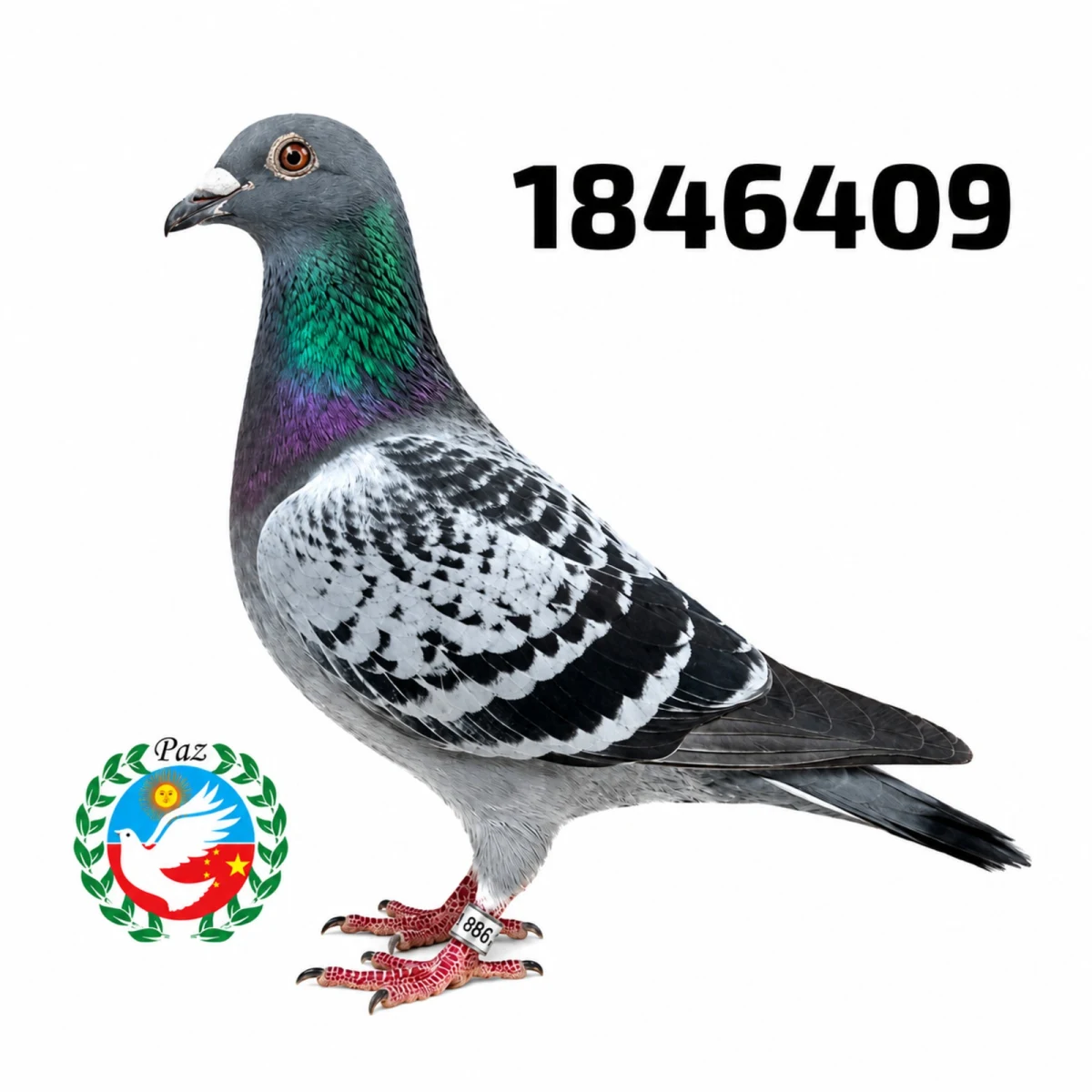 1846409-25 FCA