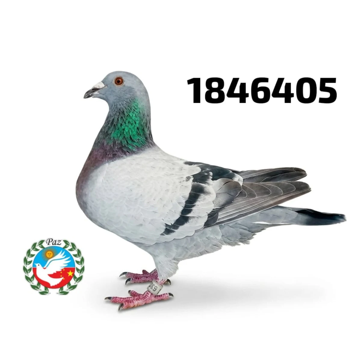 1846405-25 FCA