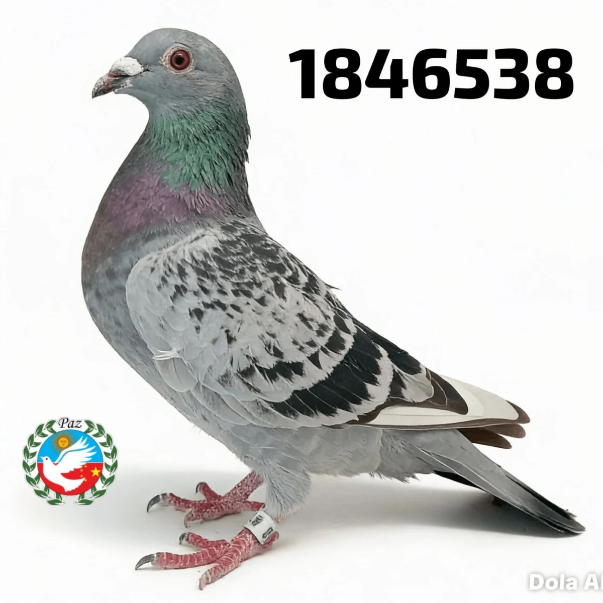 1846538-25 FCA