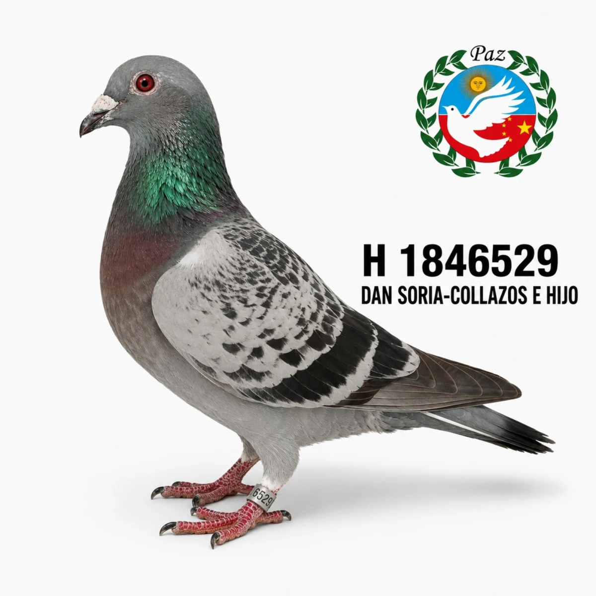 1846529-25 FCA