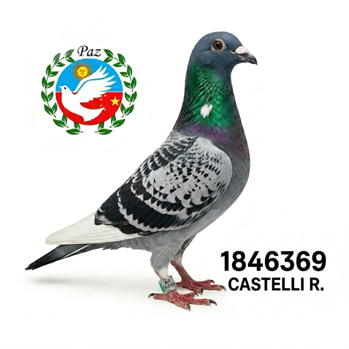 1846369-25 FCA