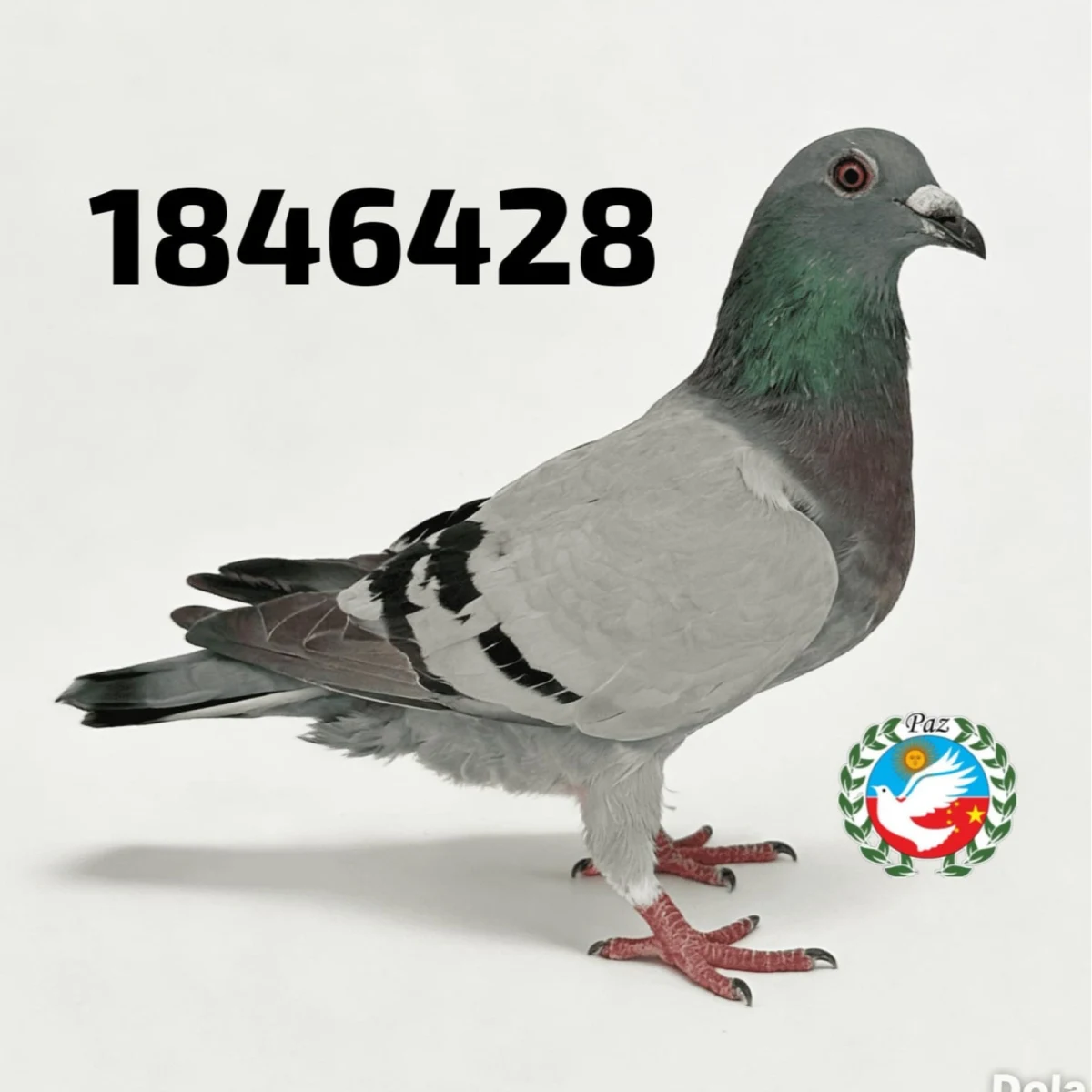 1846428-25 FCA