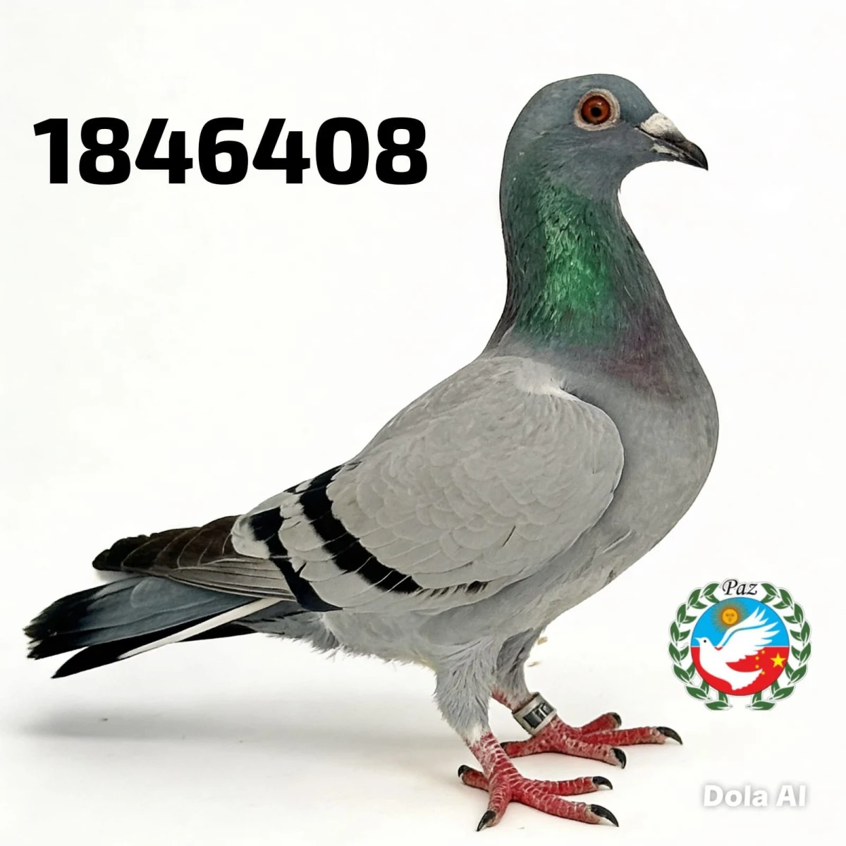 1846408-25 FCA