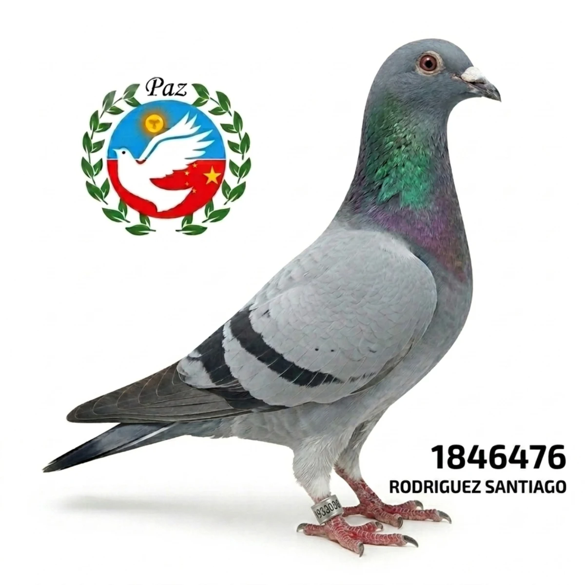 1846476-25 FCA