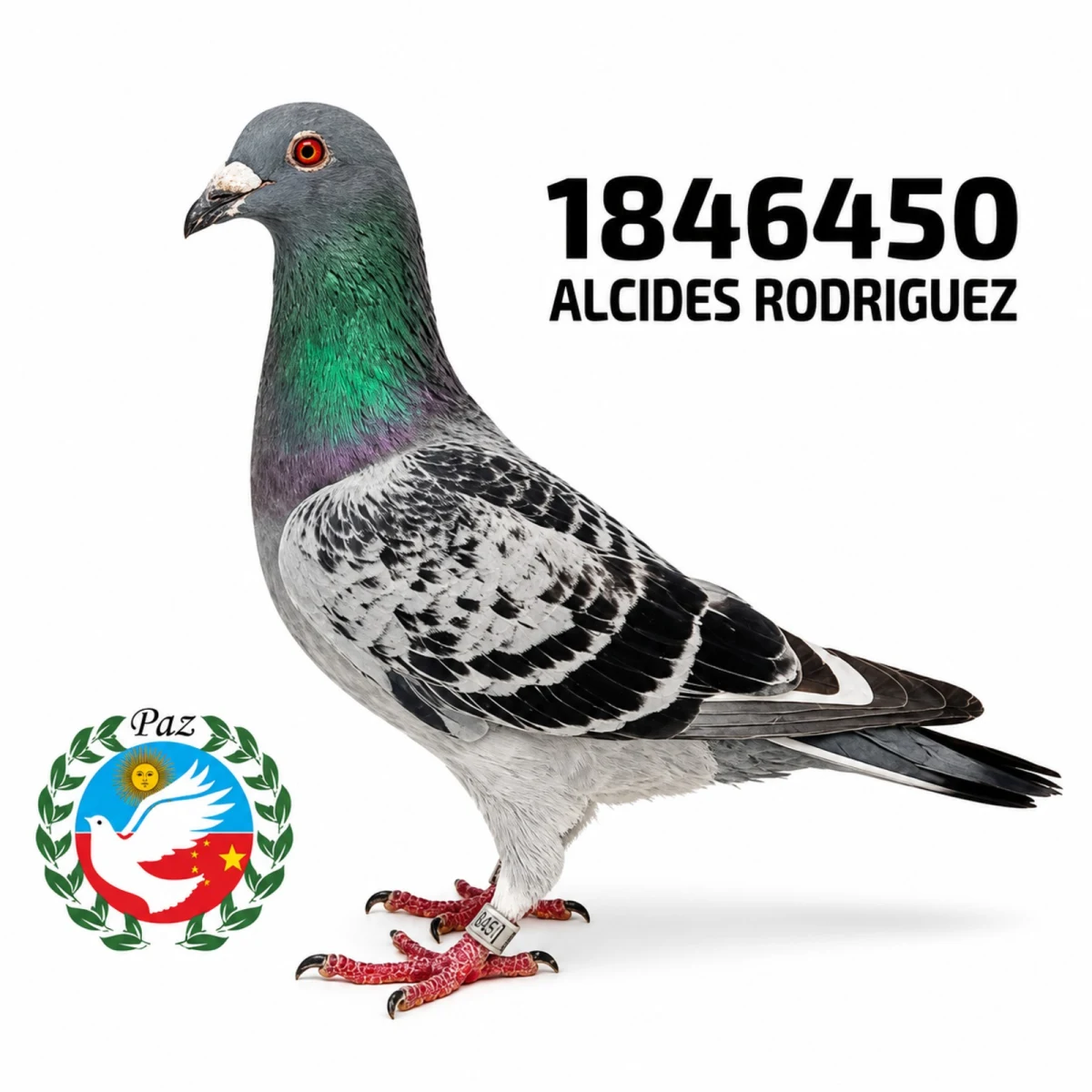1846450-25 FCA