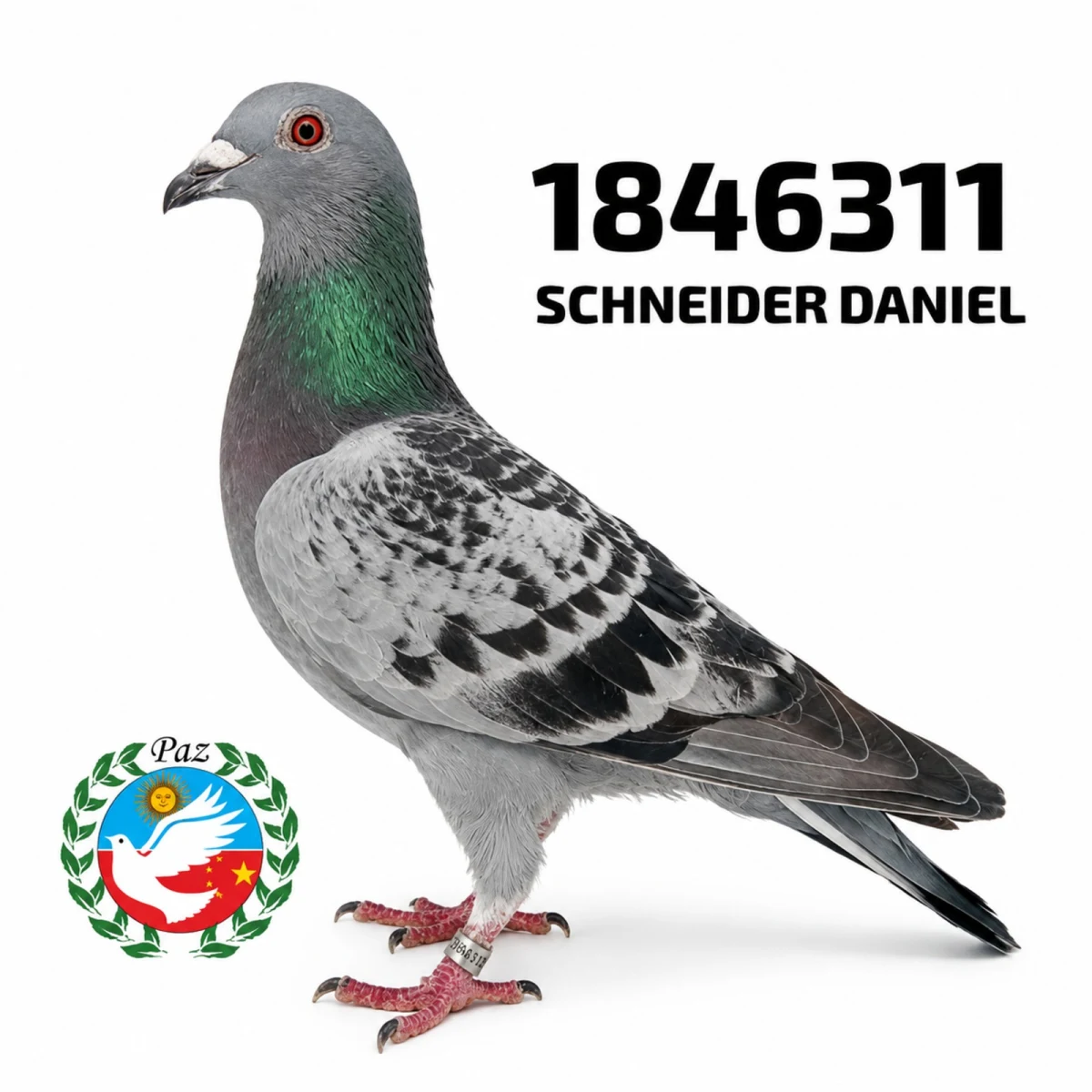 1846311-25 FCA