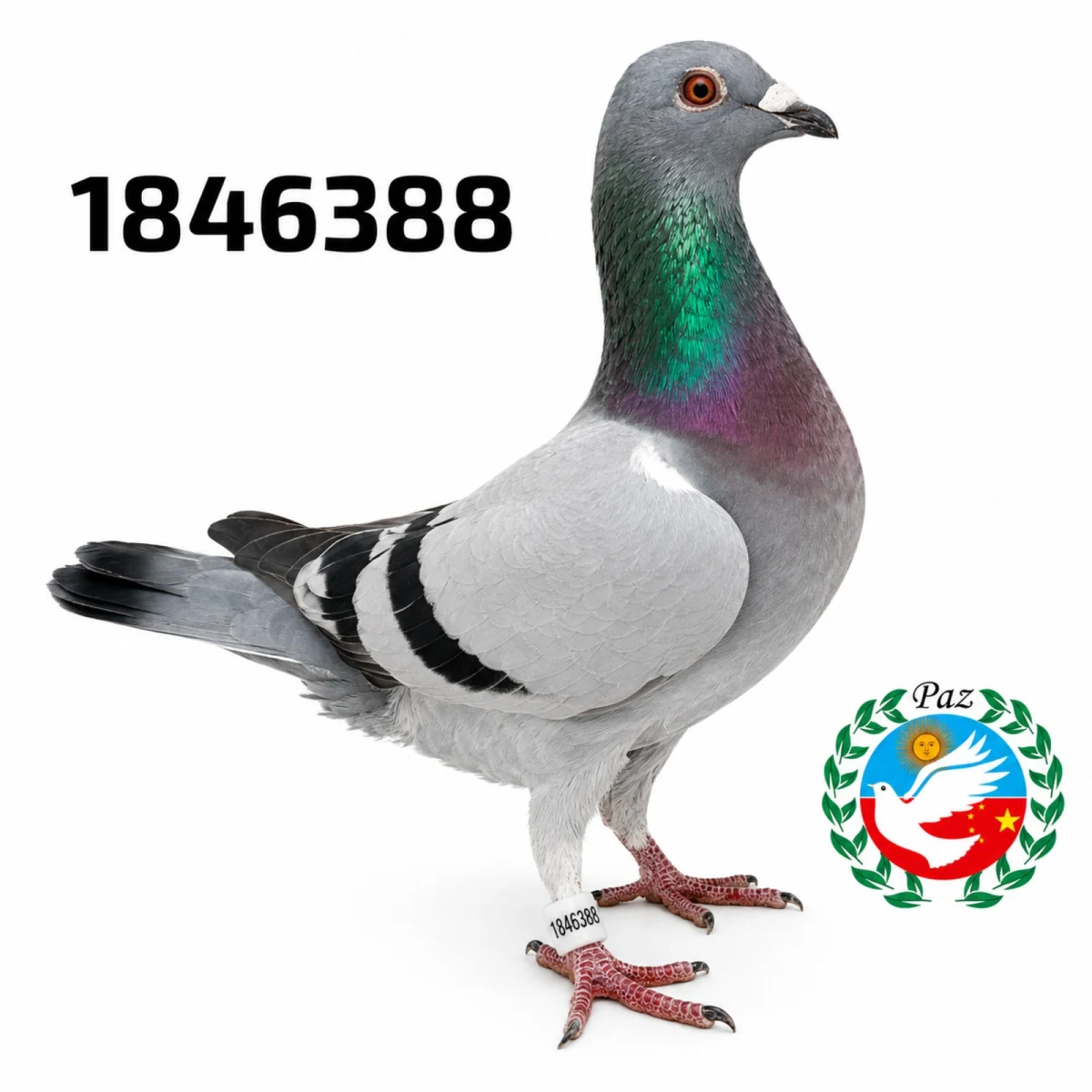 1846388-25 FCA