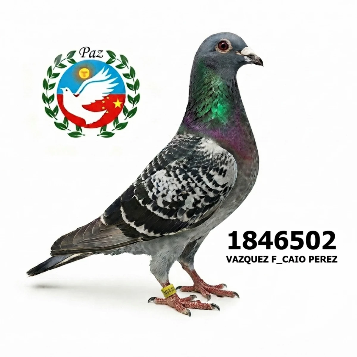 1846502-25 FCA