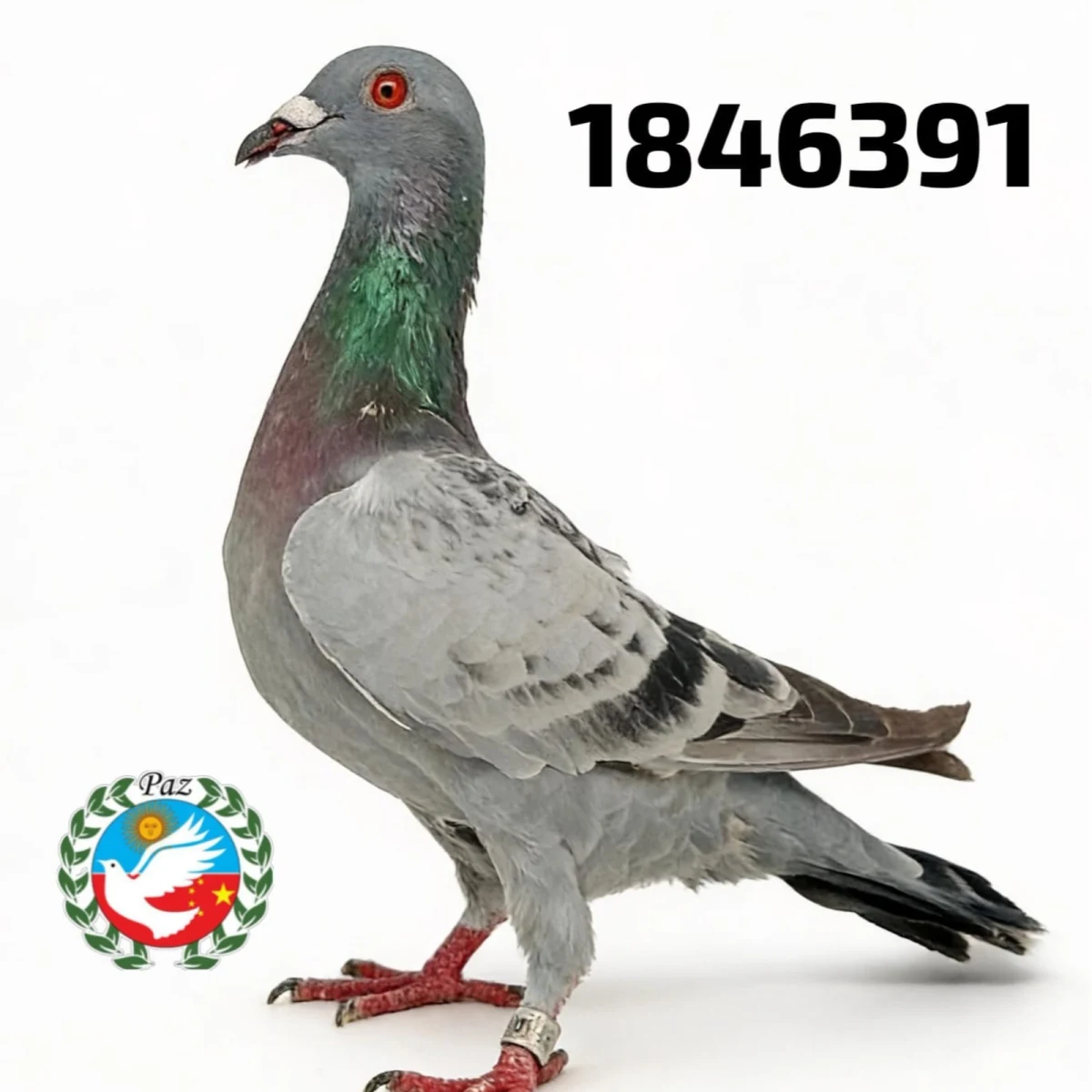 1846391-25 FCA