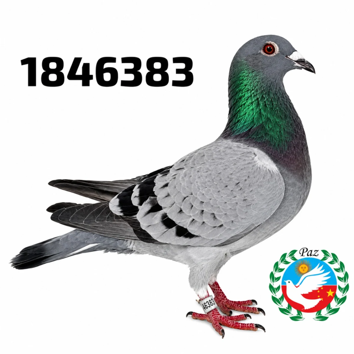 1846383-25 FCA