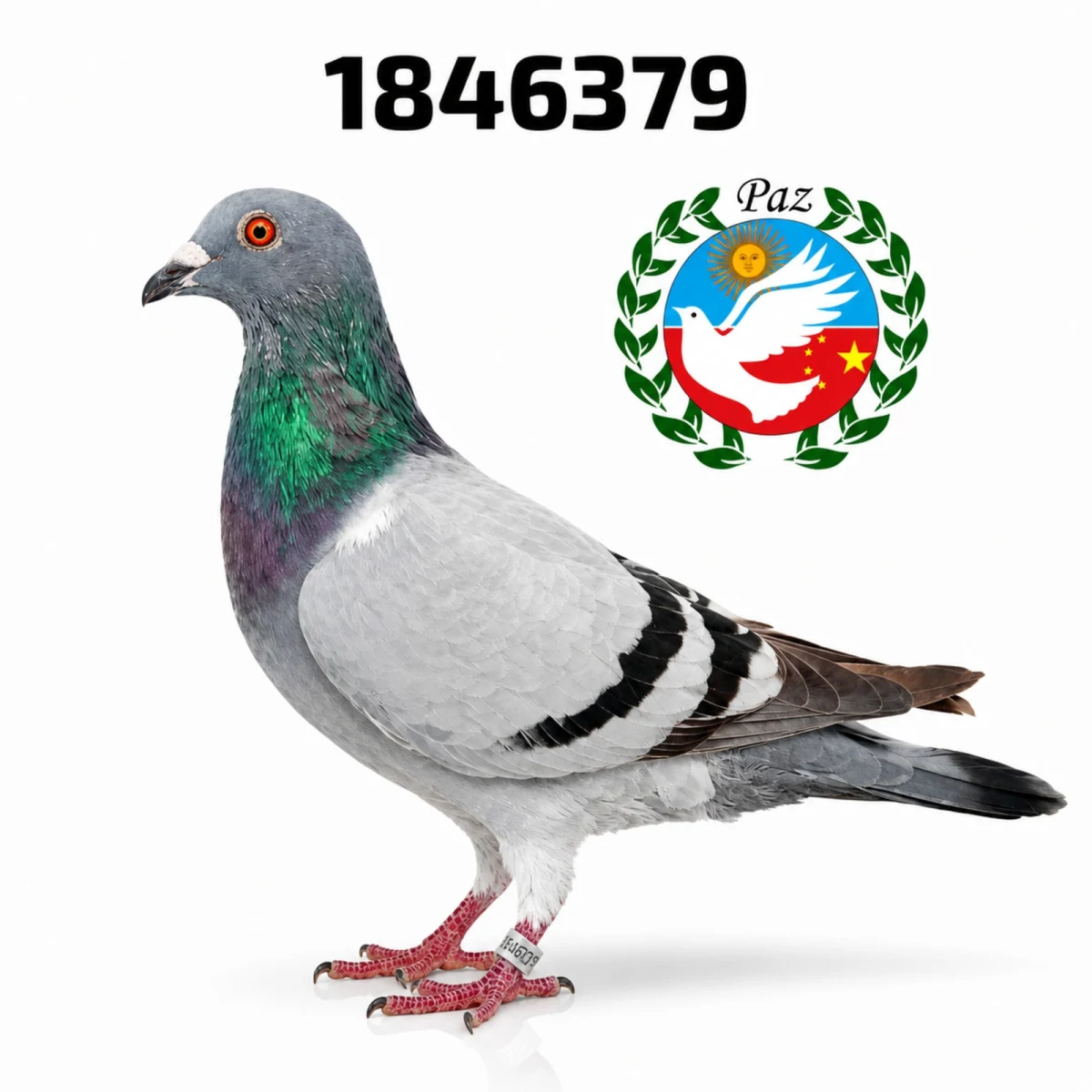 1846379-25 FCA