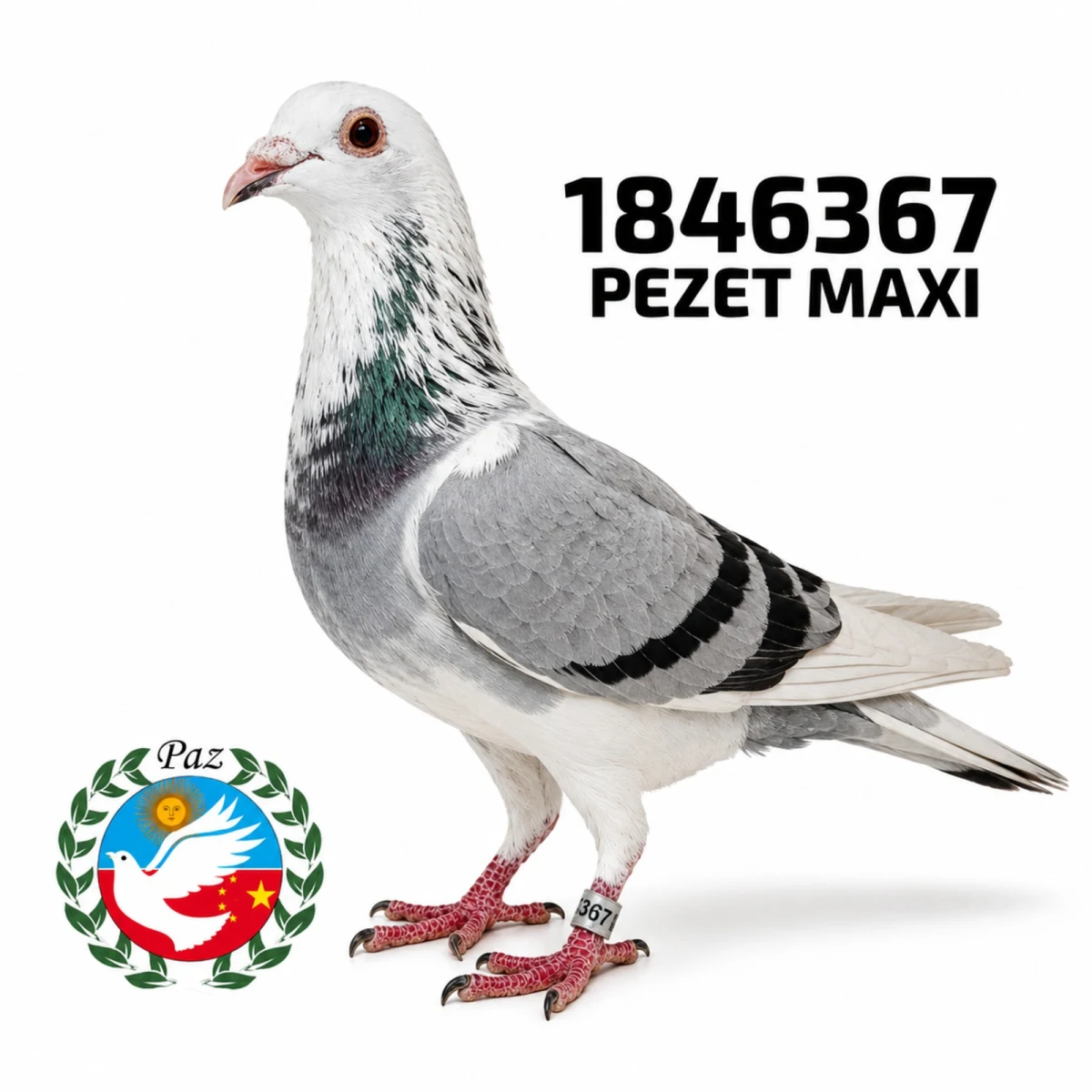 1846367-25 FCA