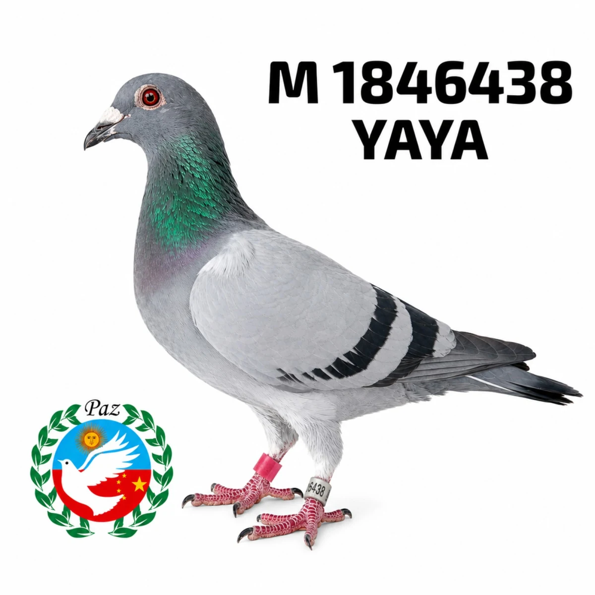1846438-25 FCA