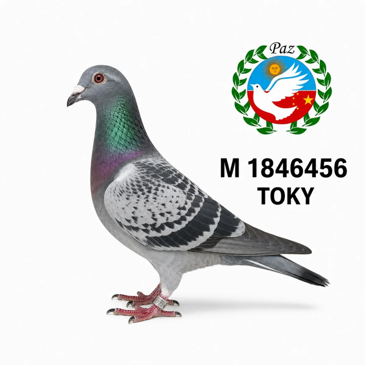 1846456-25 FCA