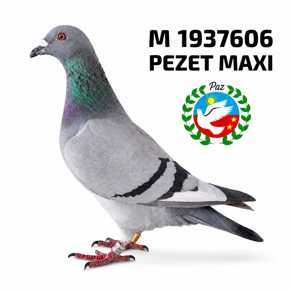 1937606-25 FCA