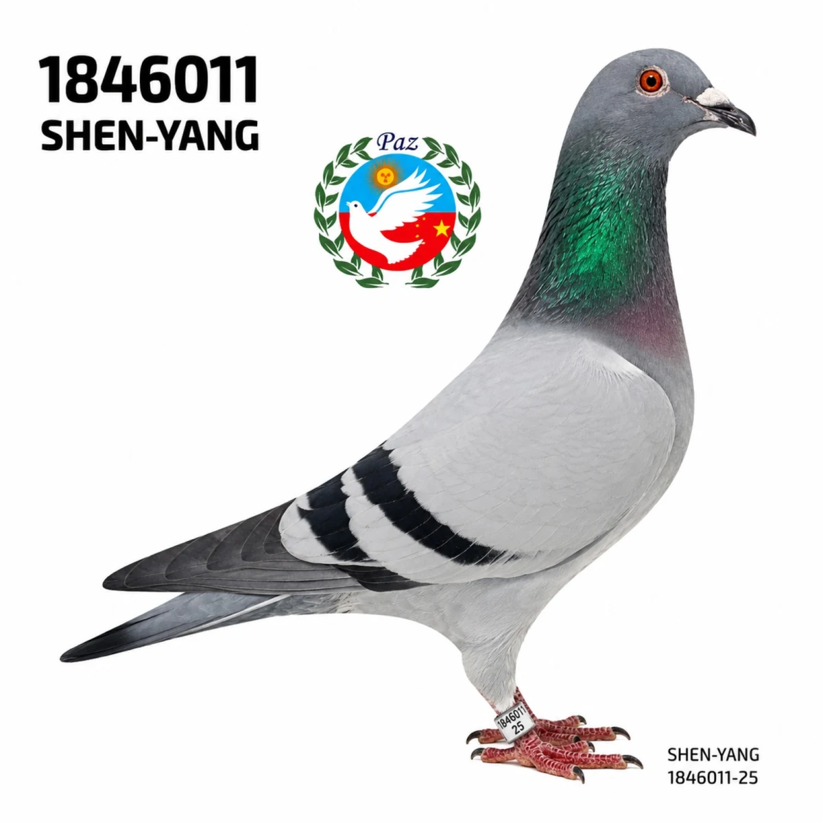 1846011-25 FCA
