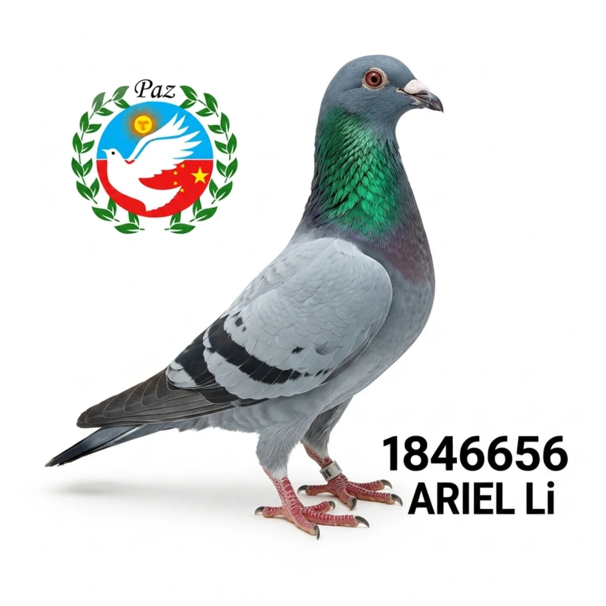 1846656-25 FCA