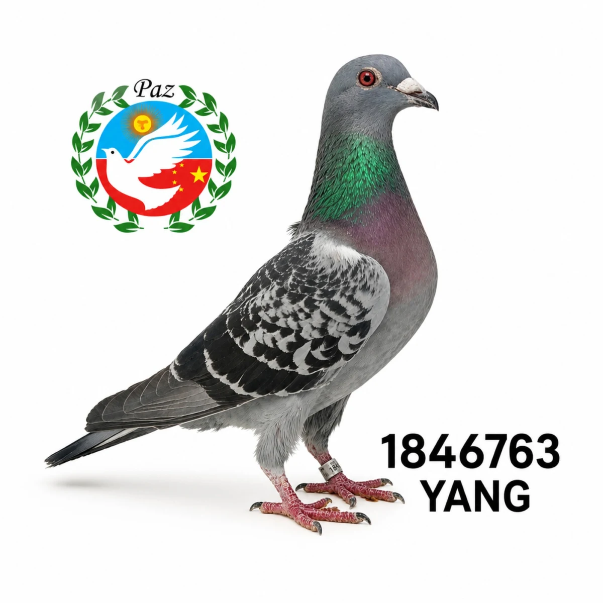 1846763-25 FCA