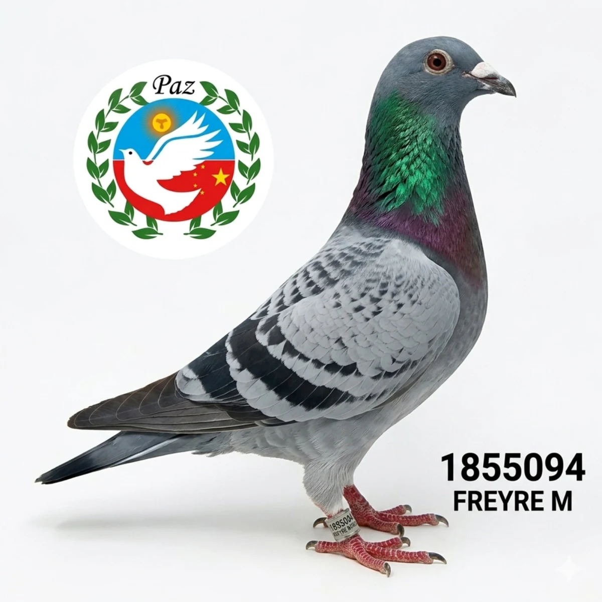 1855094-25 FCA
