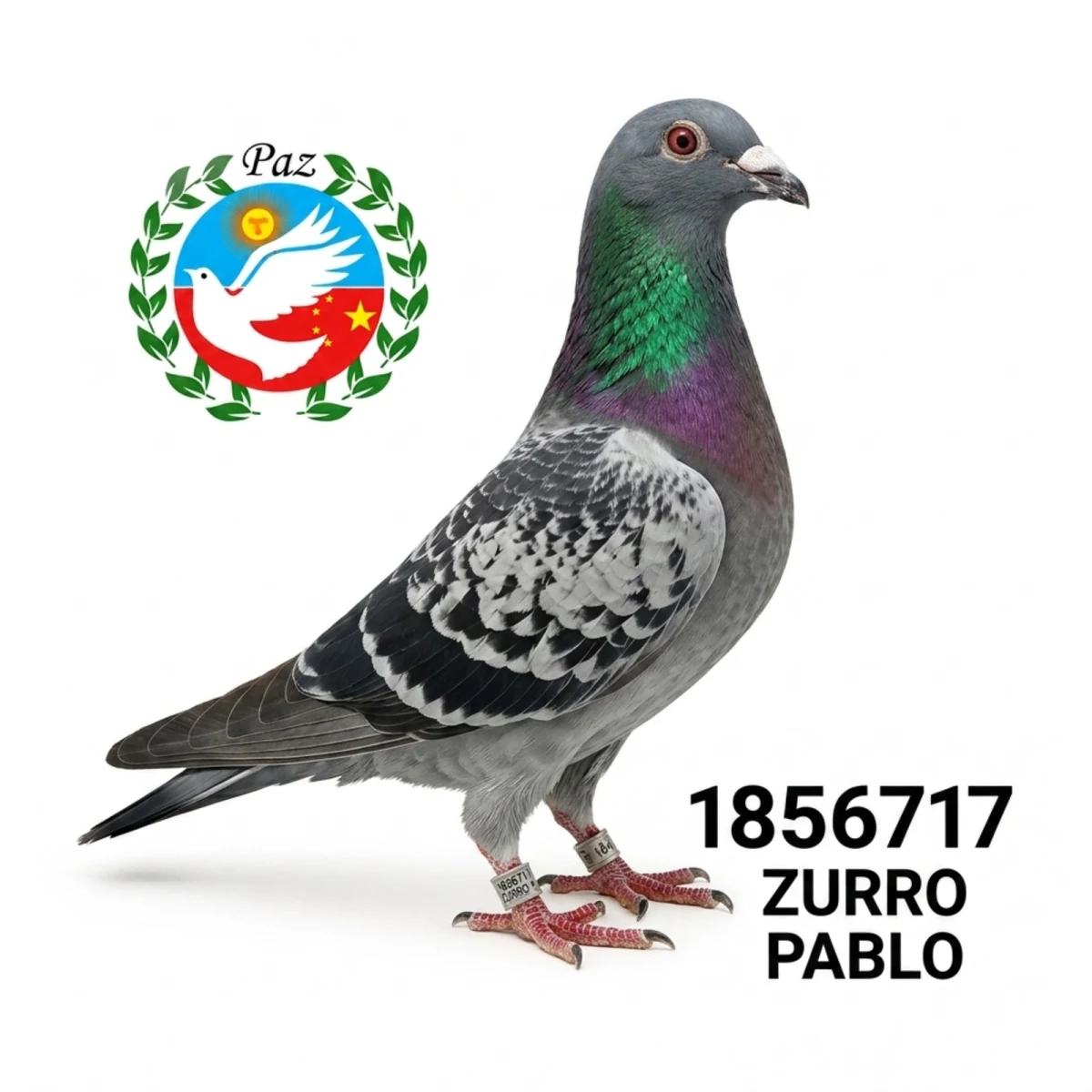 1856717-25 FCA