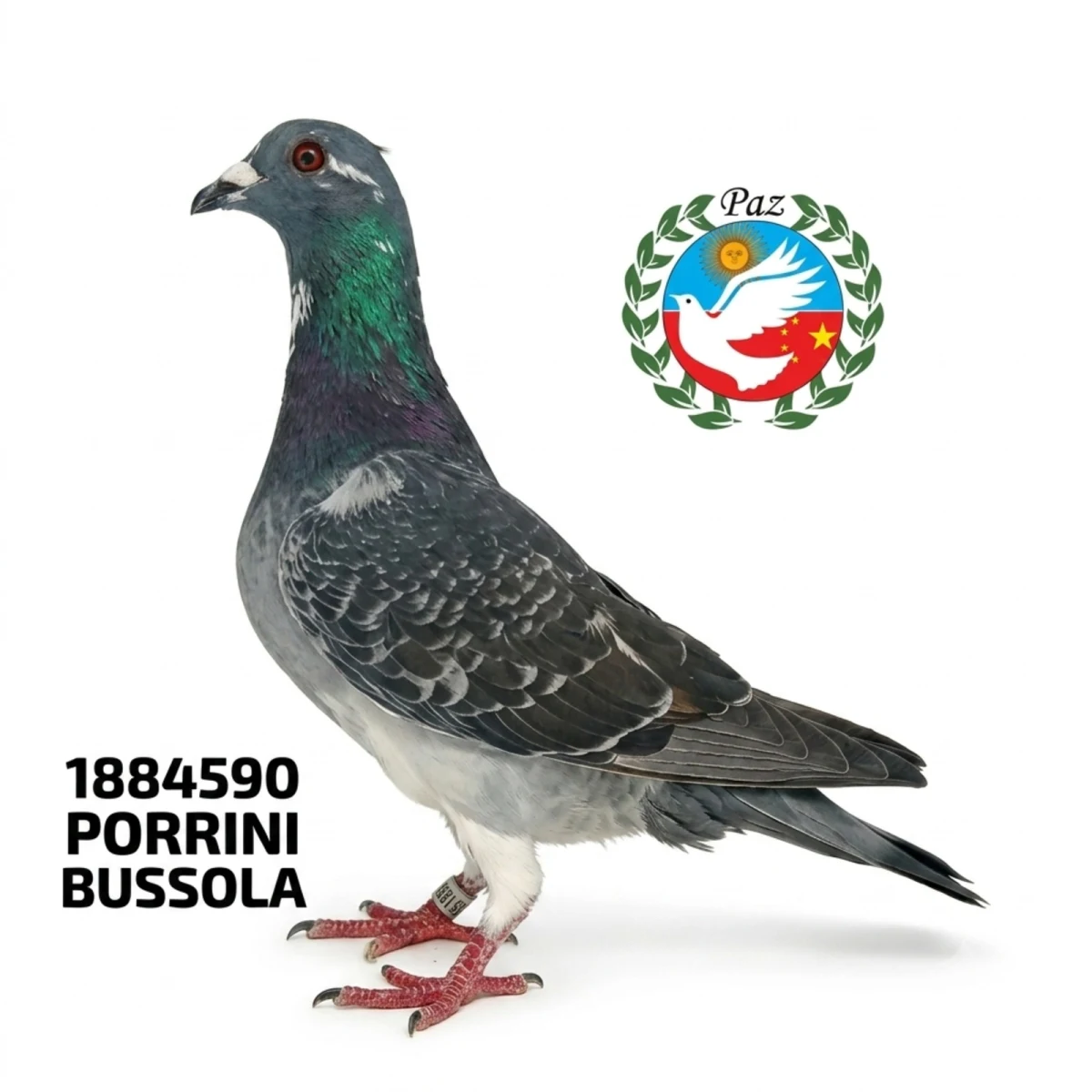 1884590-25 FCA