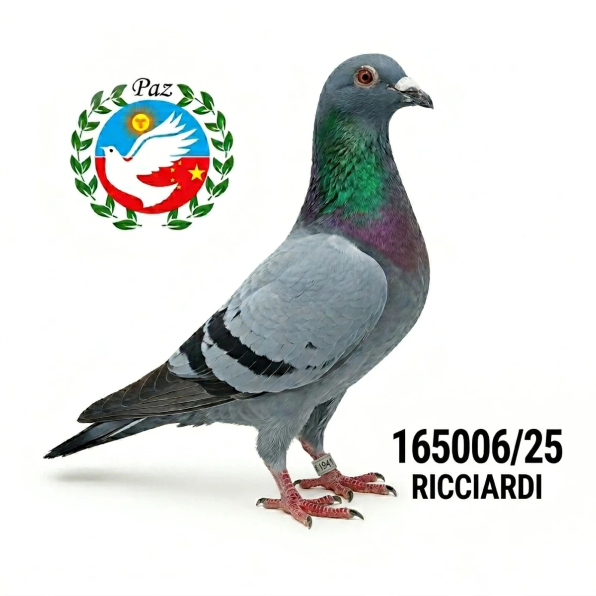 165006-25 UR