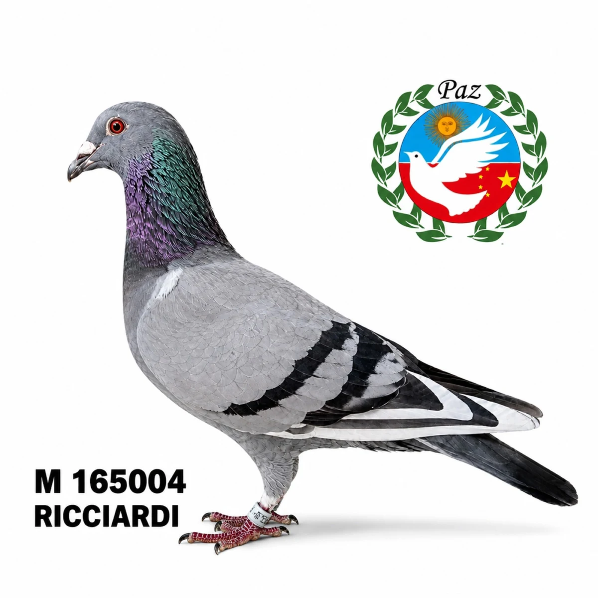 165004-25 UR
