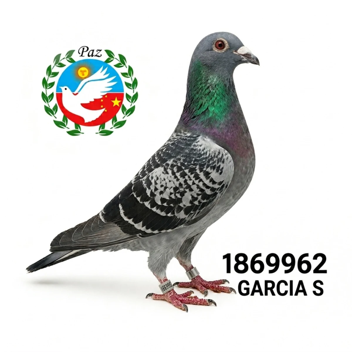 1869962-25 FCA