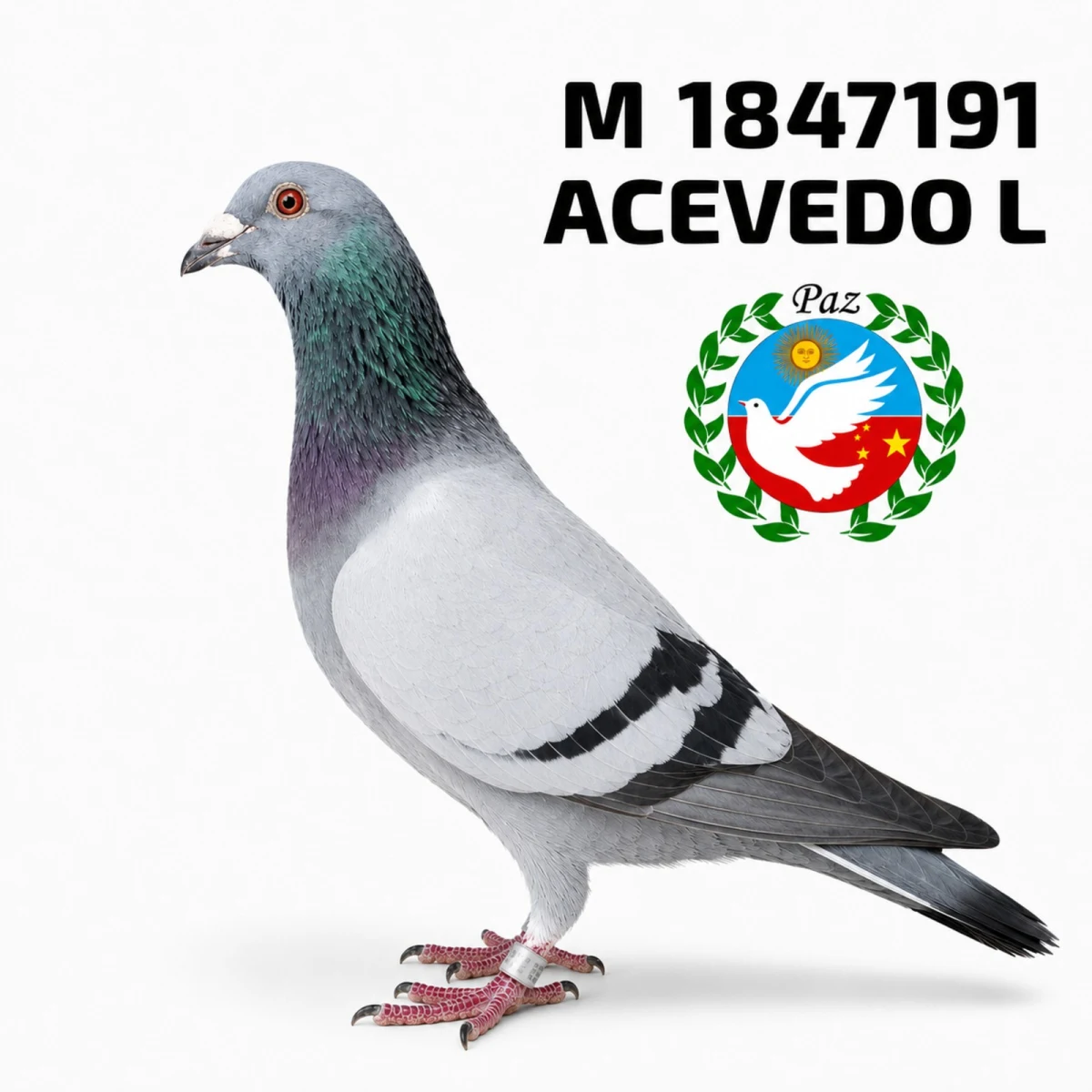 1847191-25 FCA