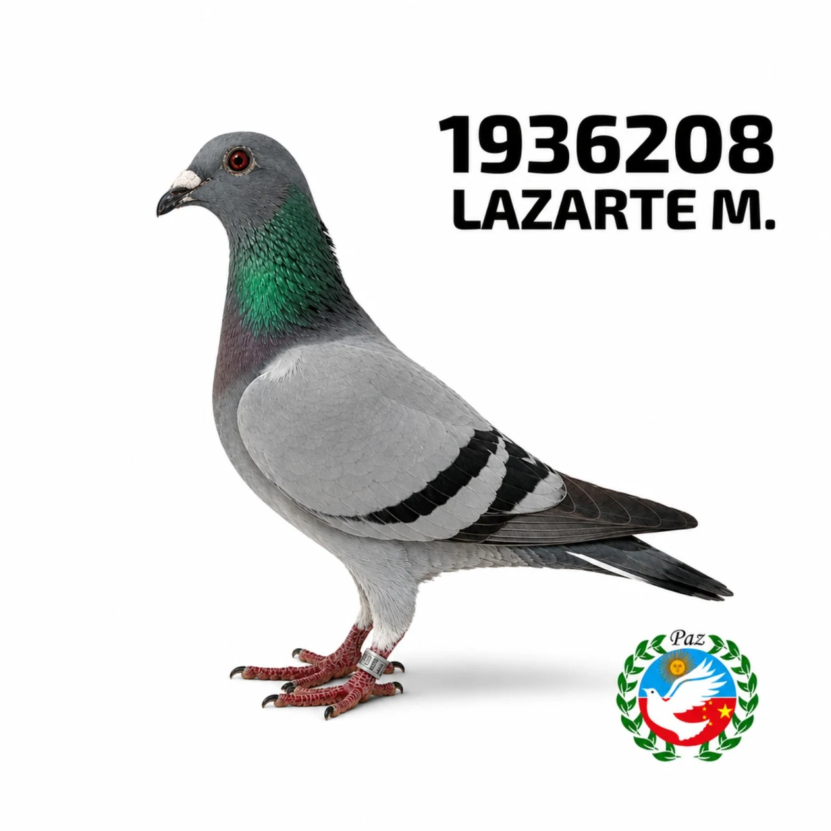 1936208-25 FCA