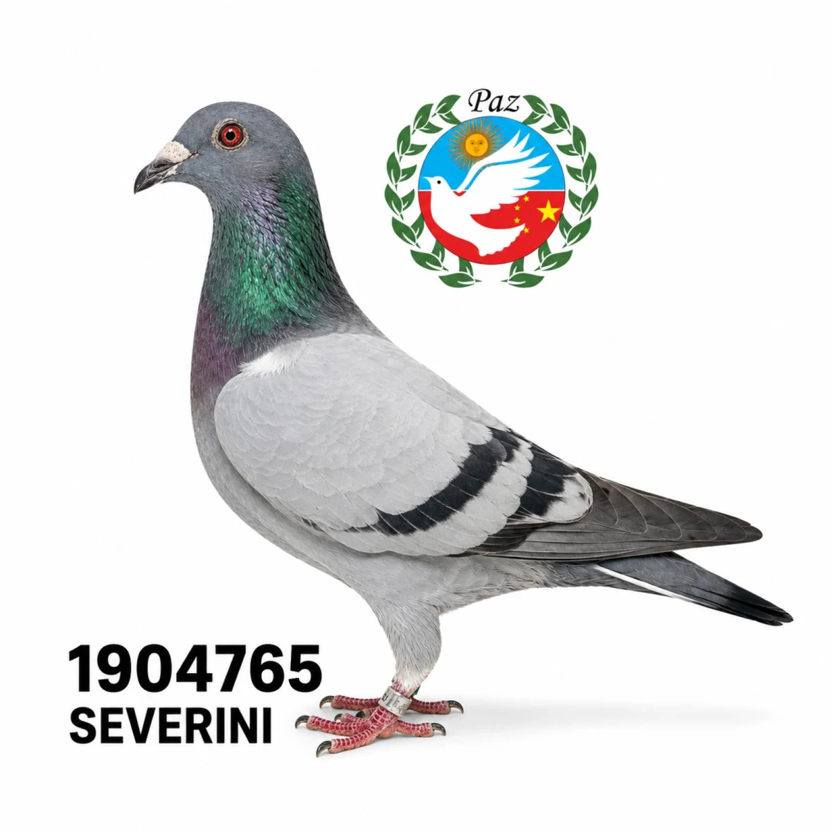 1904765-25 FCA