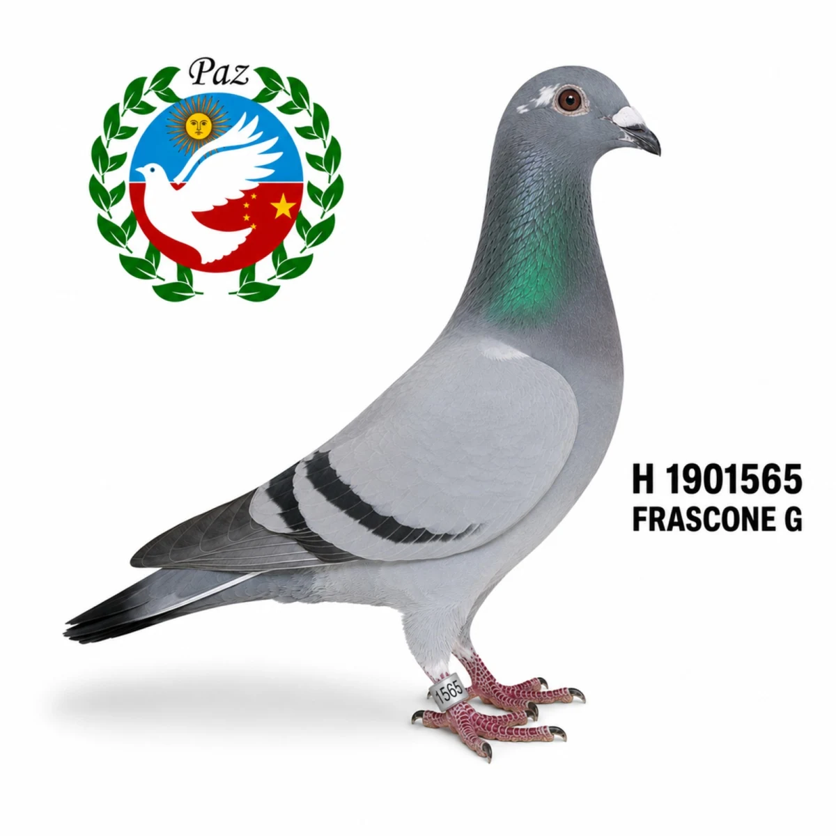 1901565-25 FCA