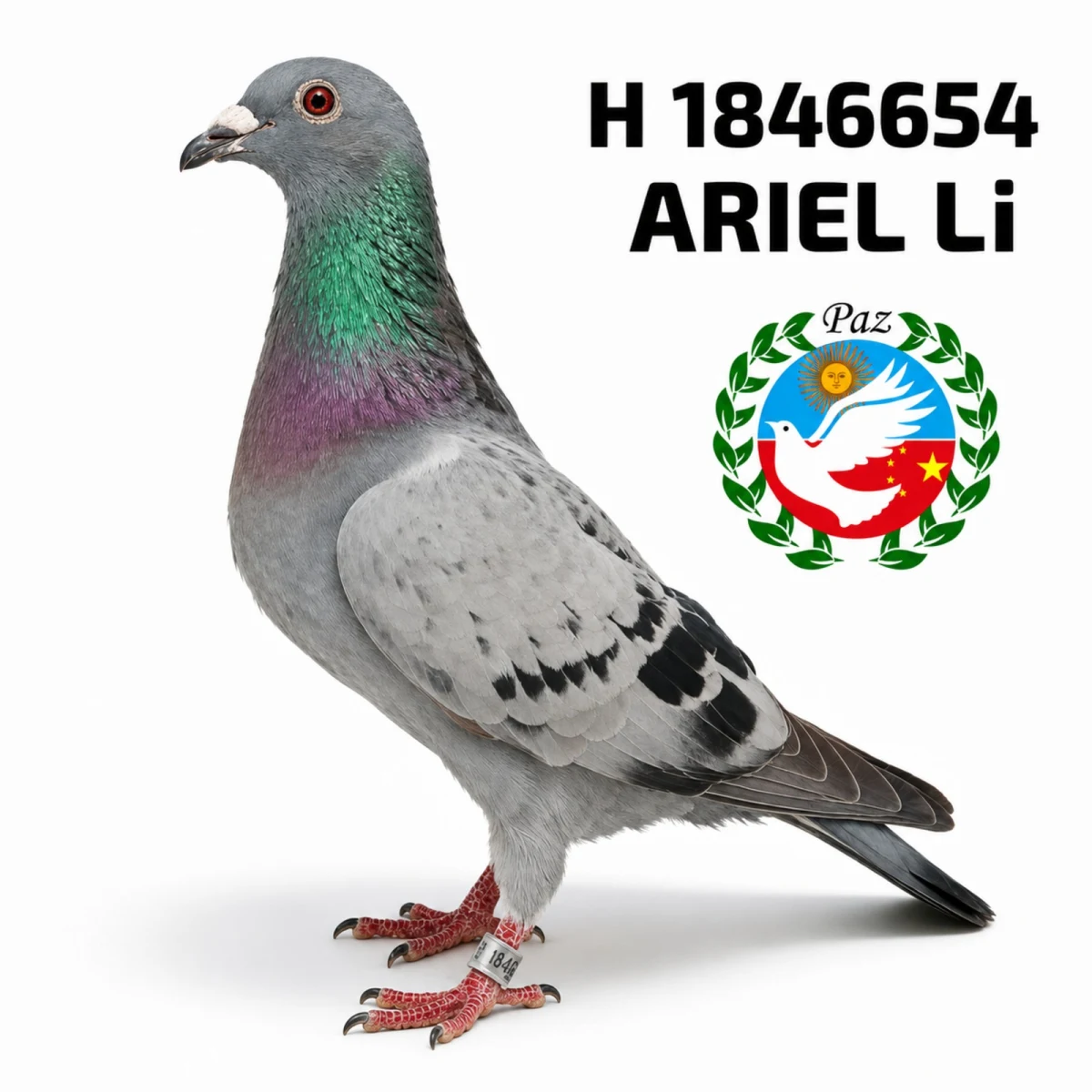 1846654-25 FCA