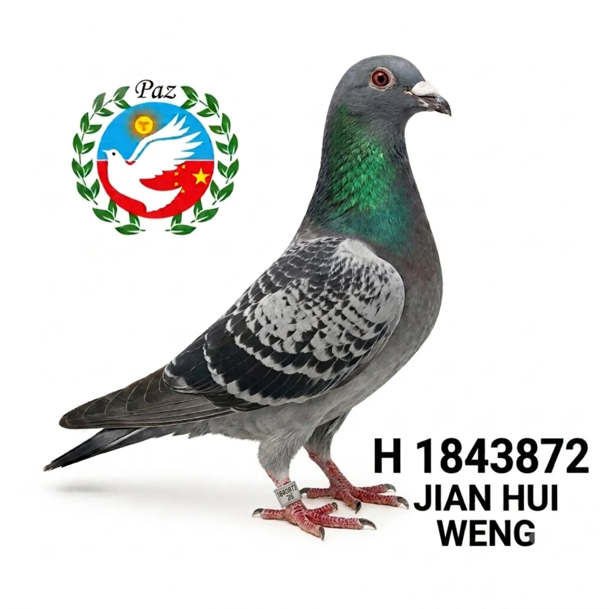 1843872-25 FCA