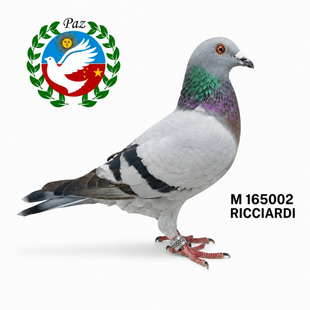 165002-25 UR