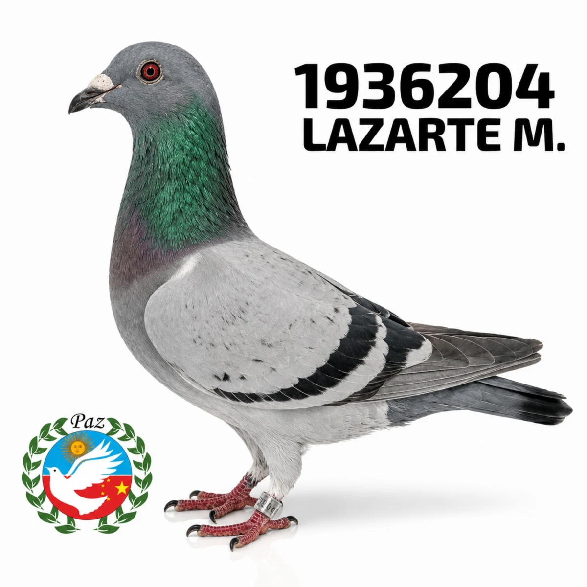 1936204-25 FCA