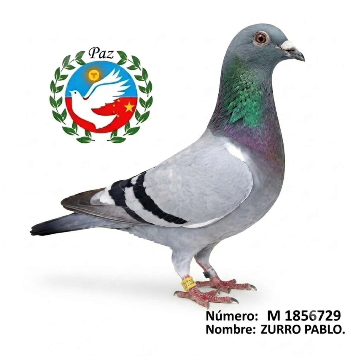1856714-25 FCA