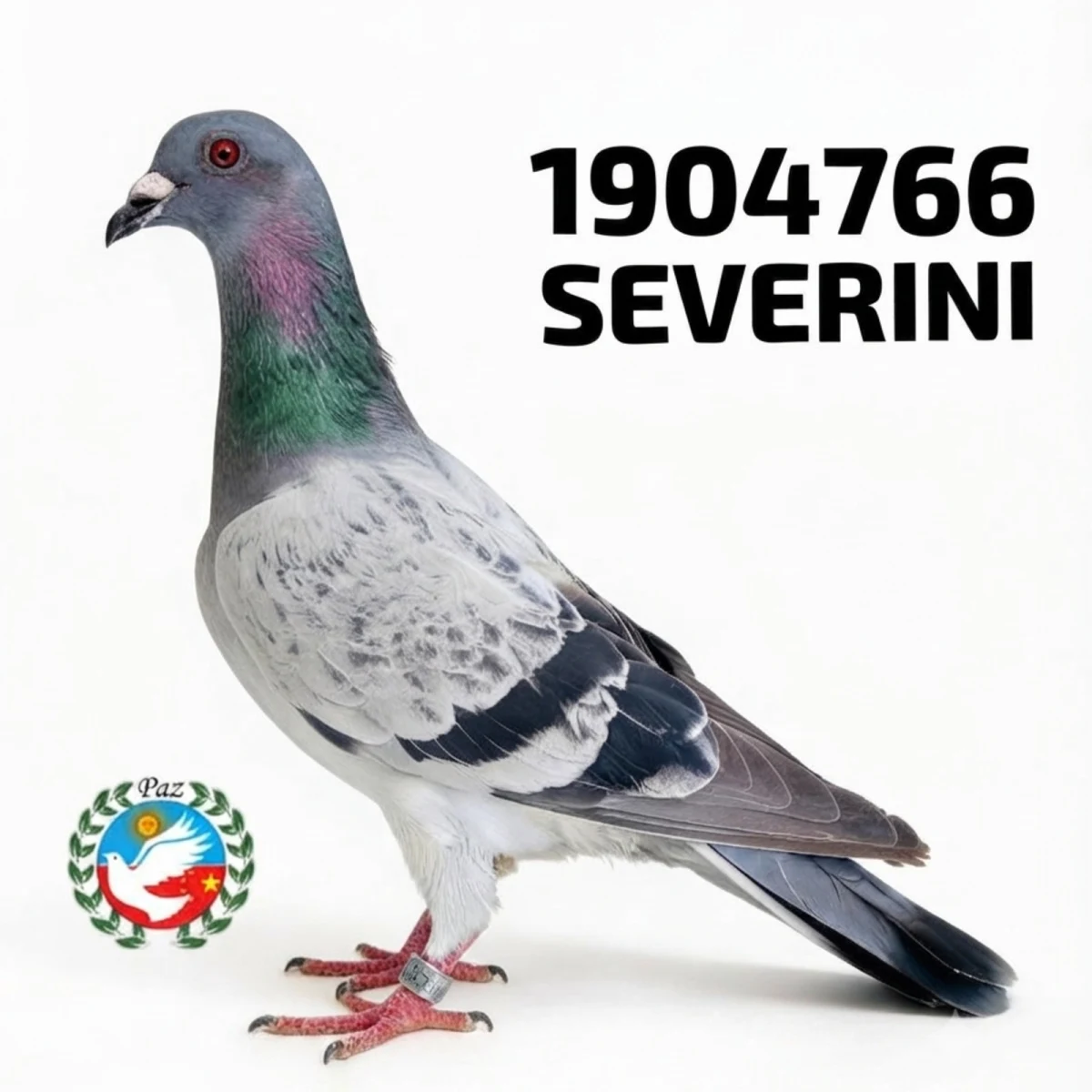 1904766-25 FCA