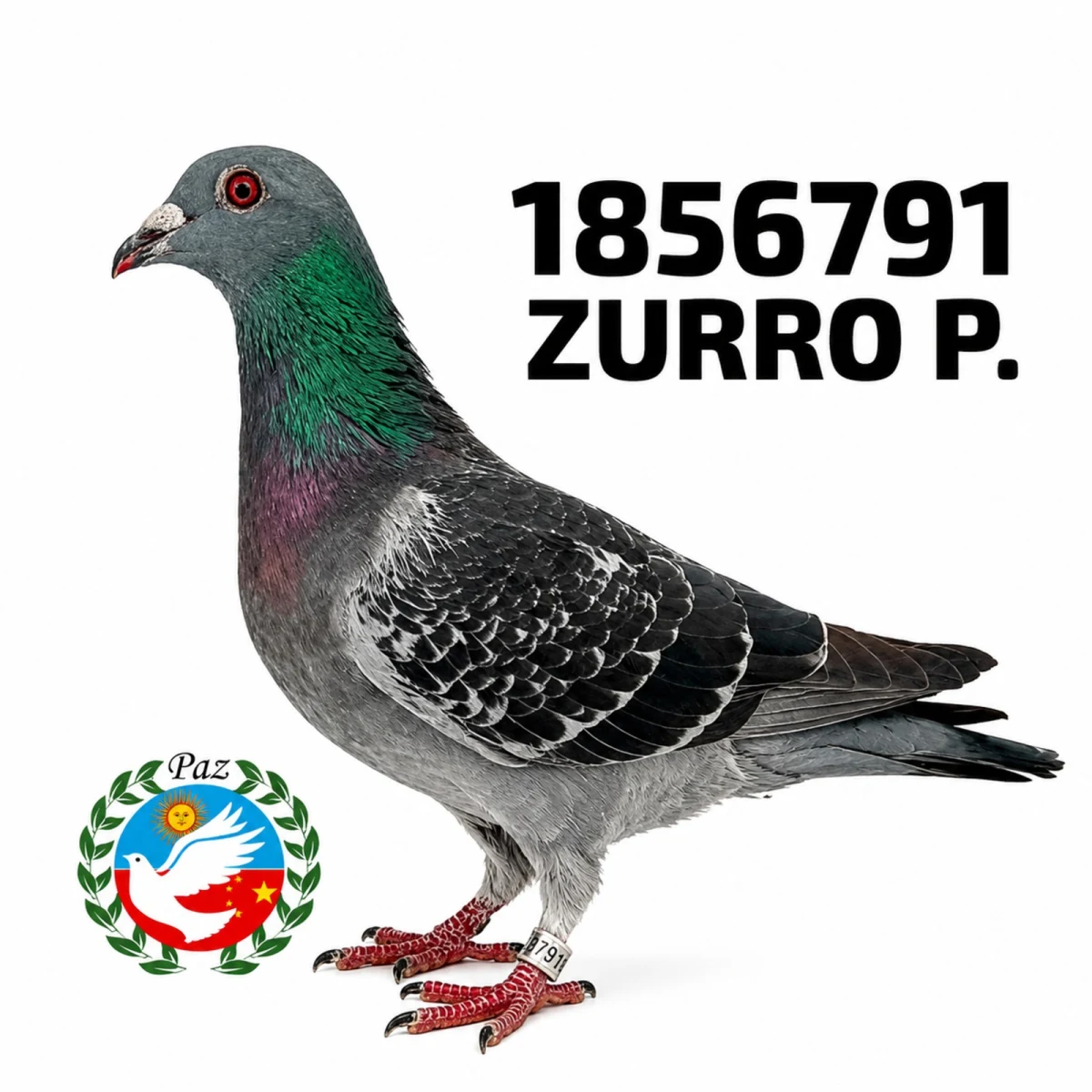 1856791-25 FCA