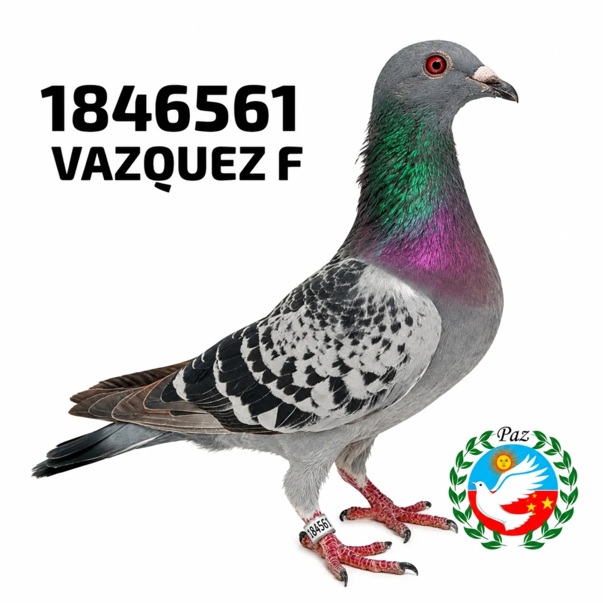 1846561-25 FCA