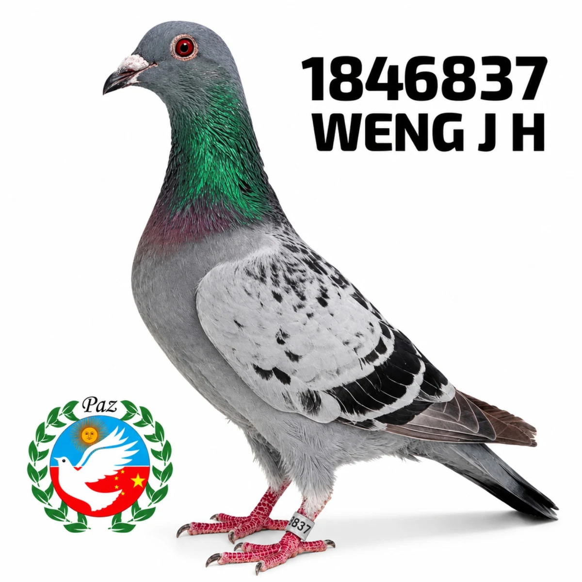 1846837-25 FCA