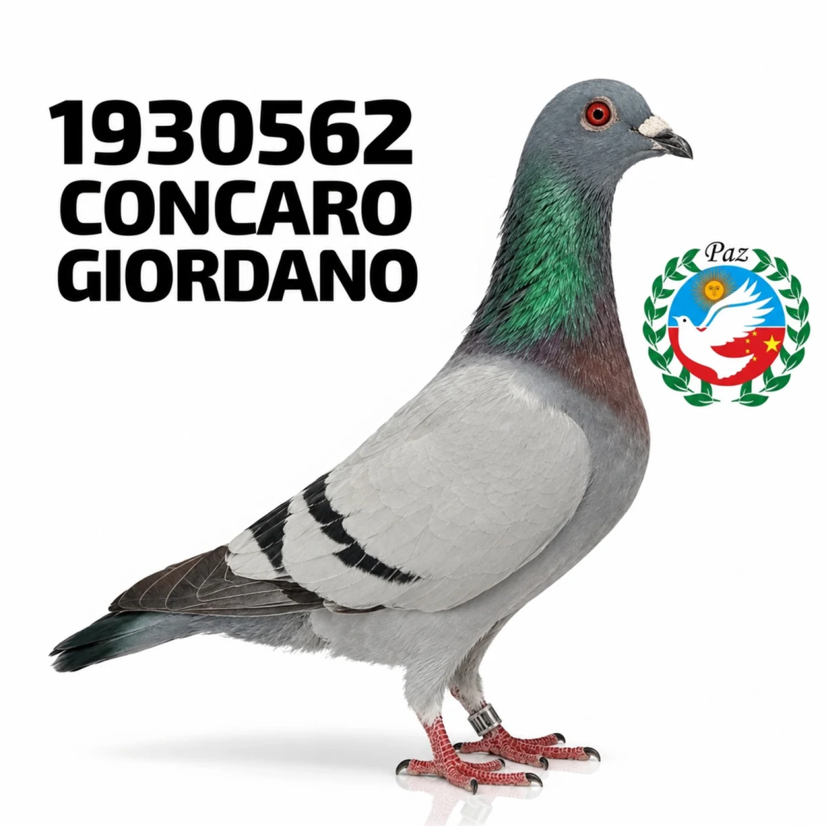 1930562-25 FCA