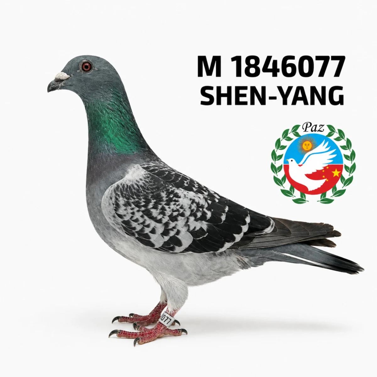1846077-25 FCA