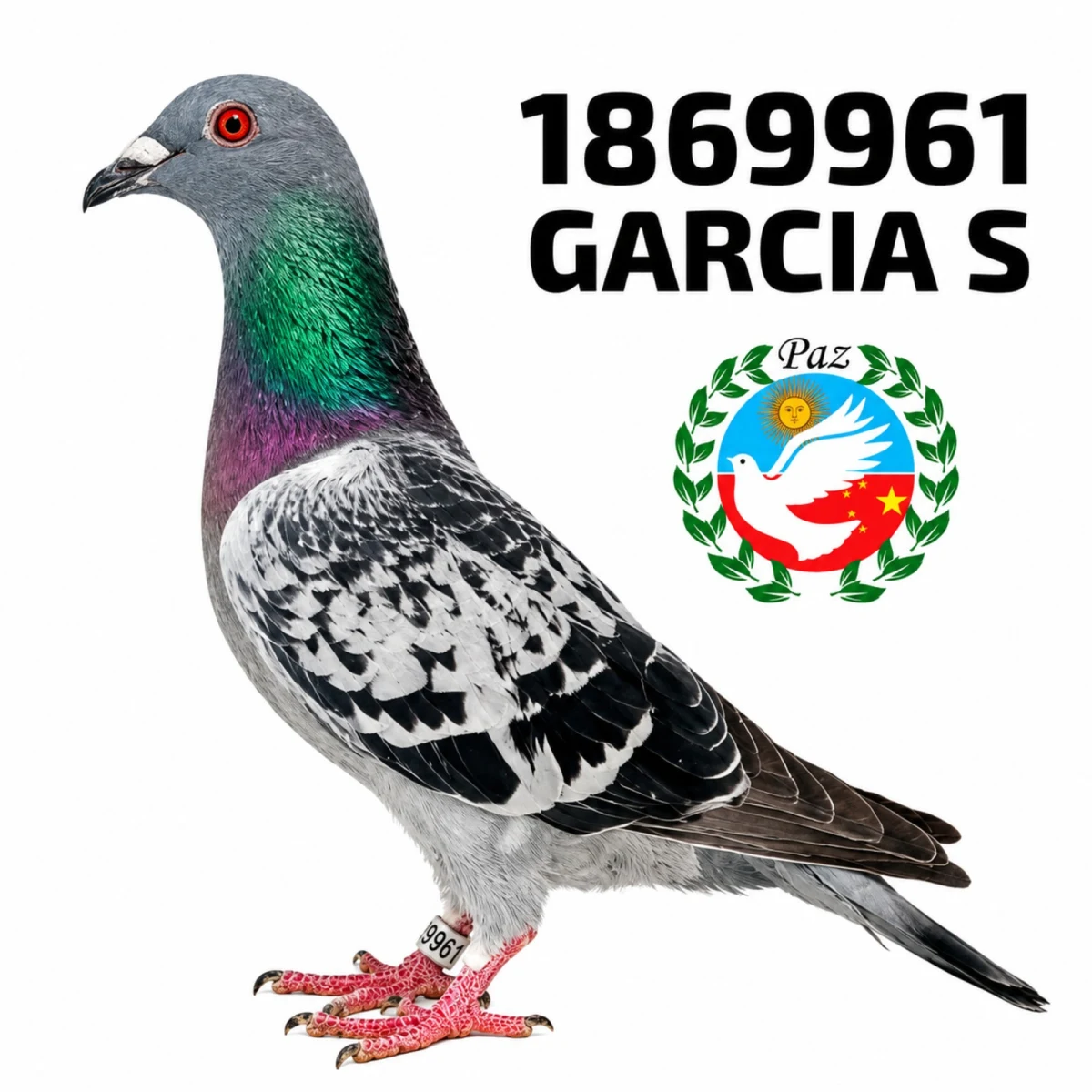 1869961-25 FCA