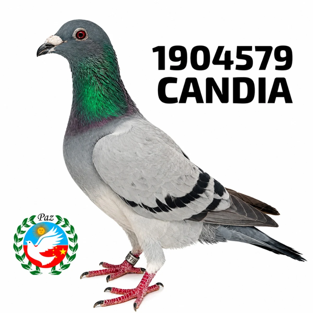 1904579-25 FCA
